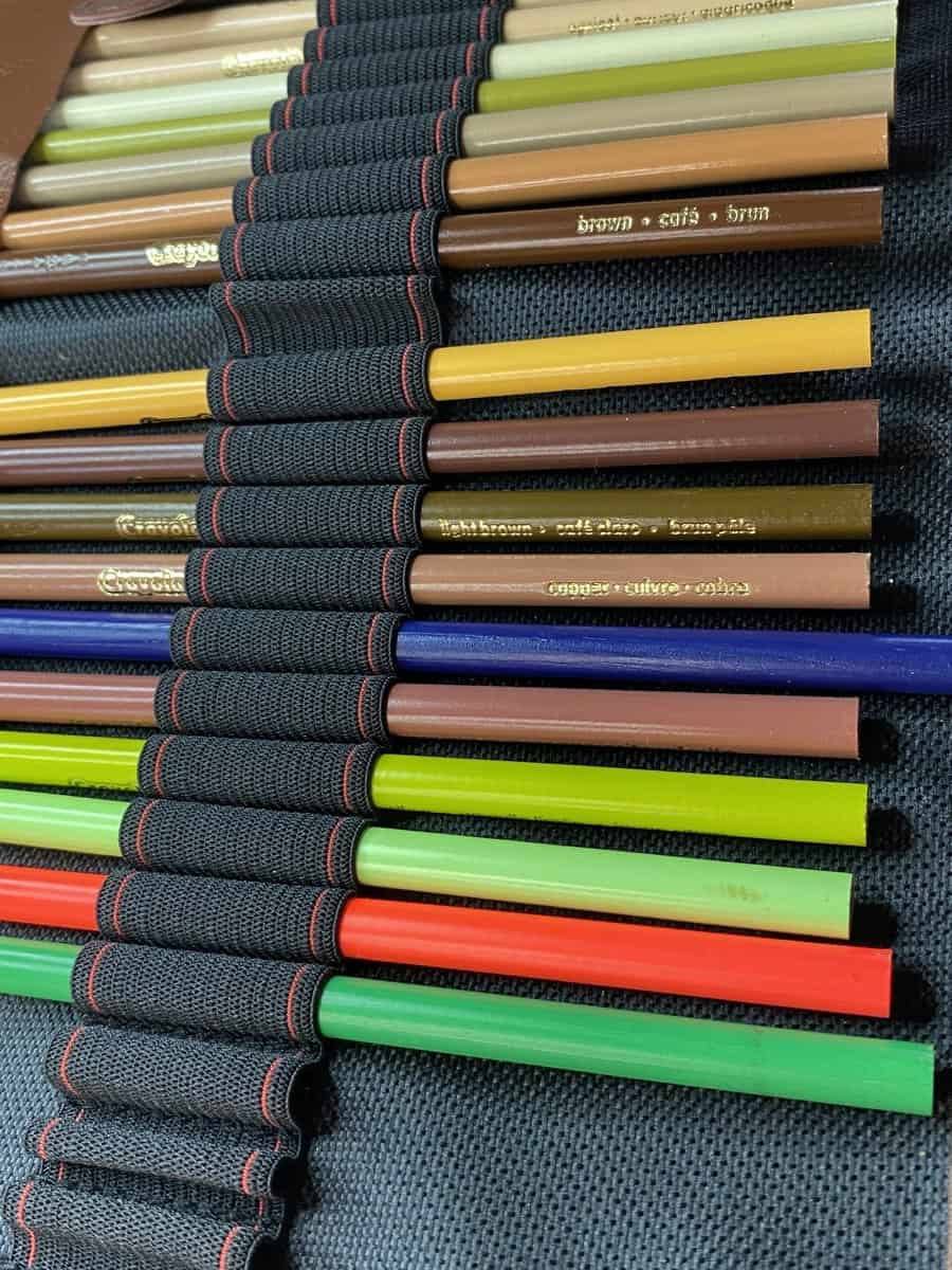 colored pencils in a colored pencil case