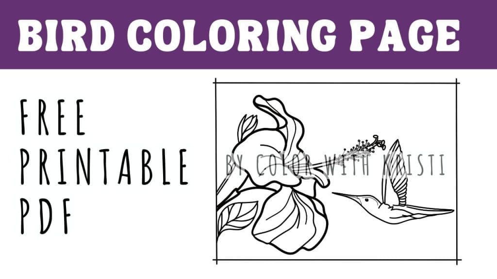 free printable bird coloring pages download